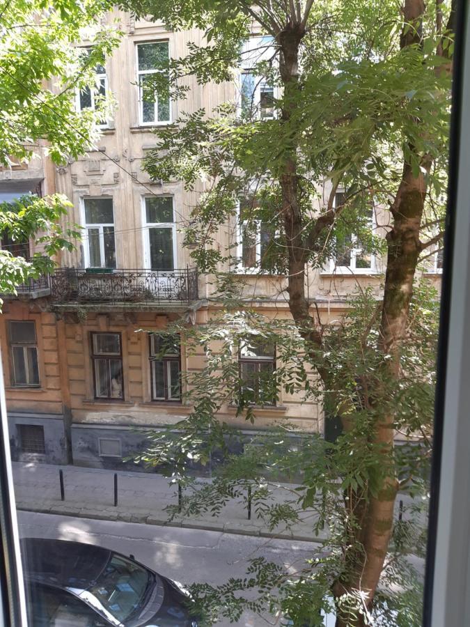 Cosy flat Διαμέρισμα Λβιβ Εξωτερικό φωτογραφία