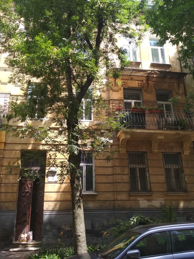 Cosy flat Διαμέρισμα Λβιβ Εξωτερικό φωτογραφία